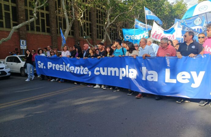 Múltitudinaria Marcha Universitaria en San Juan: “Exigimos que el Gobierno respete lo que aprobó el Congreso”